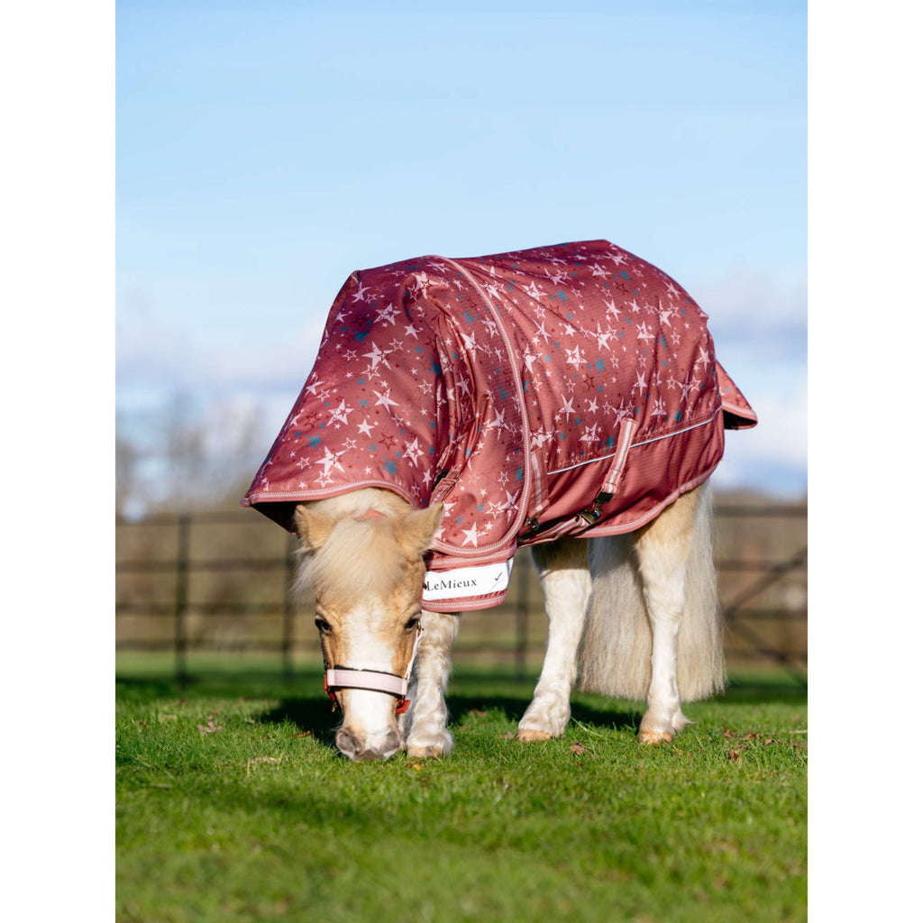 LeMieux Couverture Imperméable Arika Star 0g Spiced Earth