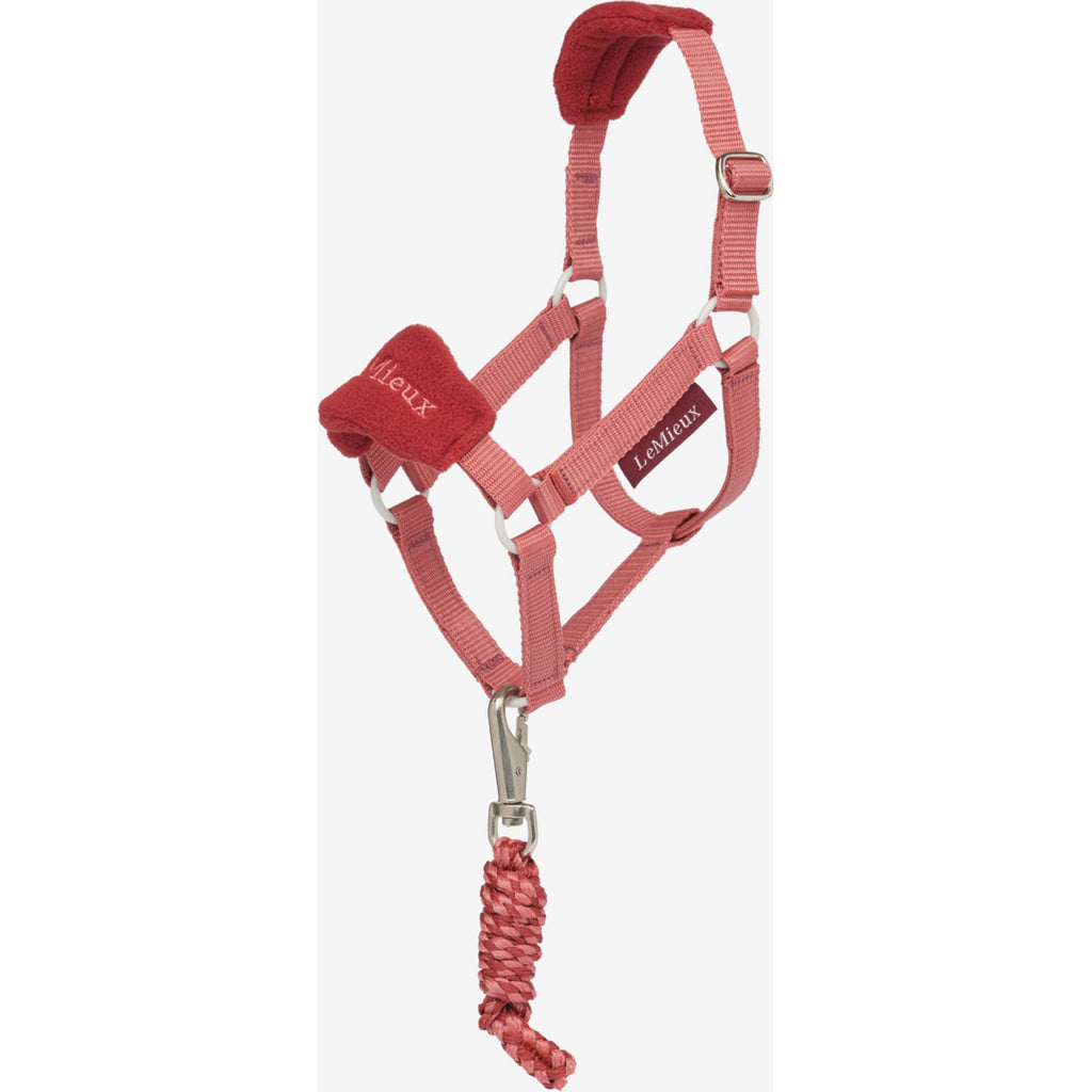 LeMieux Hobby Horse Ensemble Licol Spiced Earth