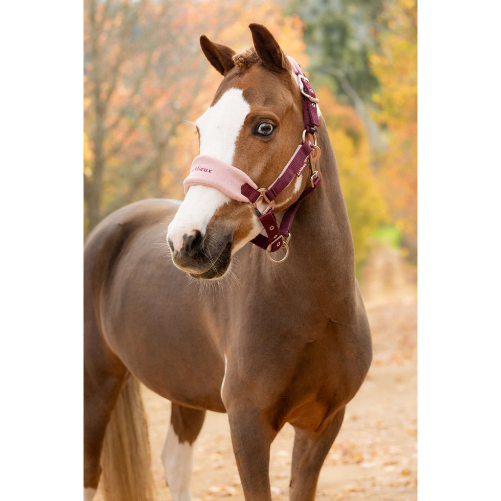 LeMieux Ensemble Licol Vogue Blackberry