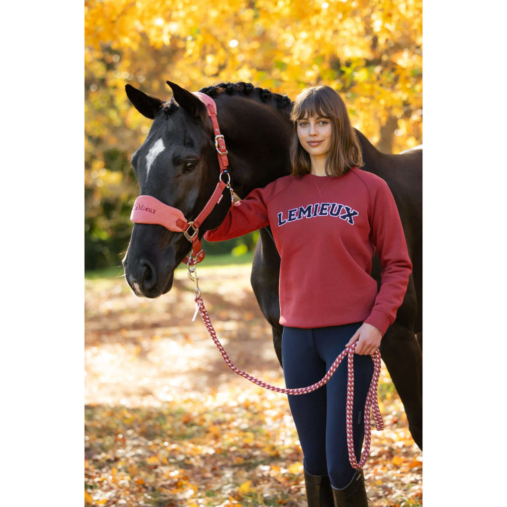 LeMieux Pull Vida Varsity Crew Neck Russet