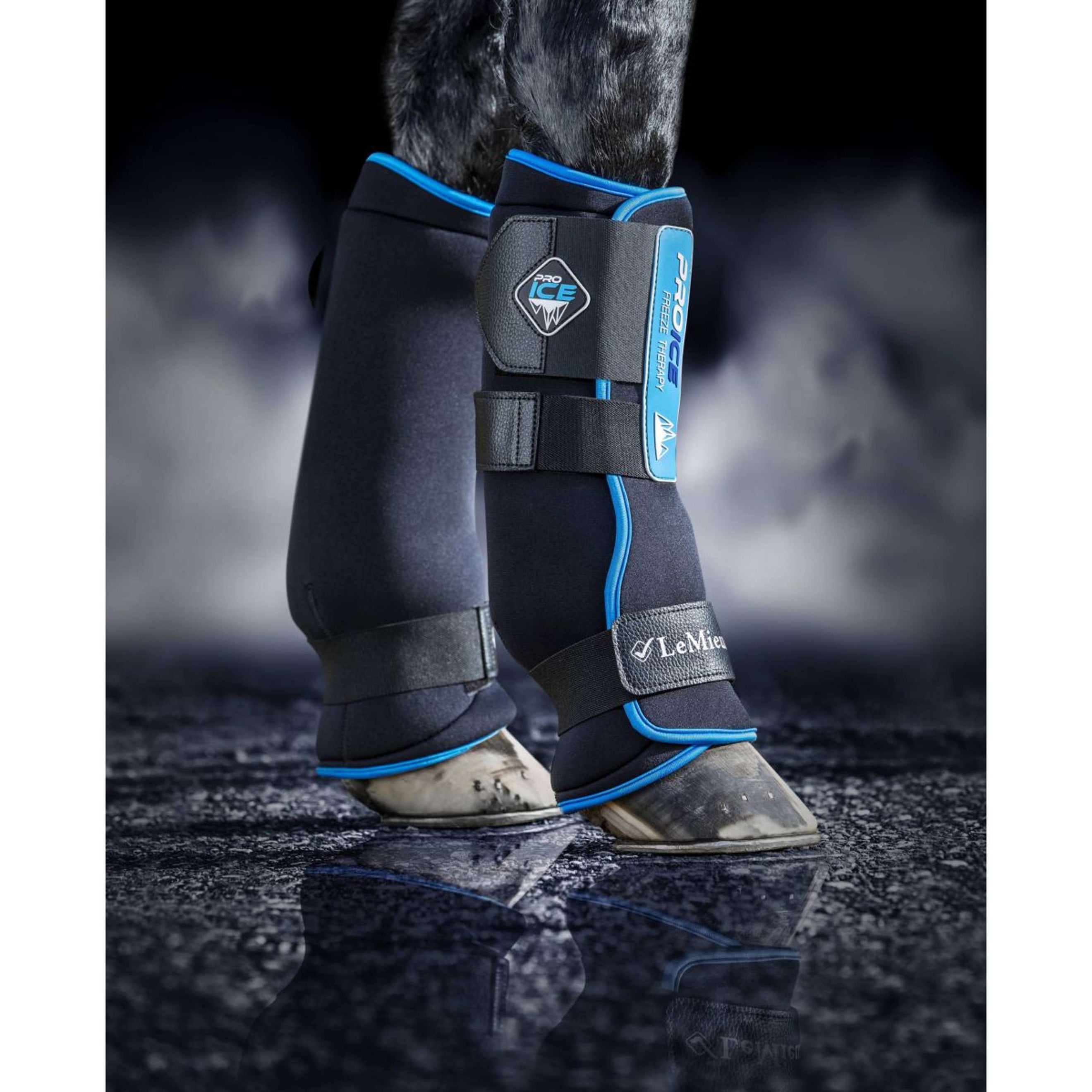 LeMieux Guêtres Freeze Thérapie Noir LeMieux Guêtres Freeze Thérapie Noir