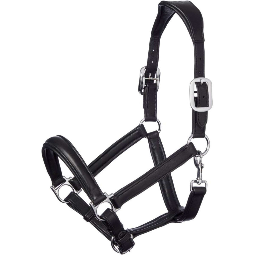 LeMieux Licol Cuir Anatomique Noir