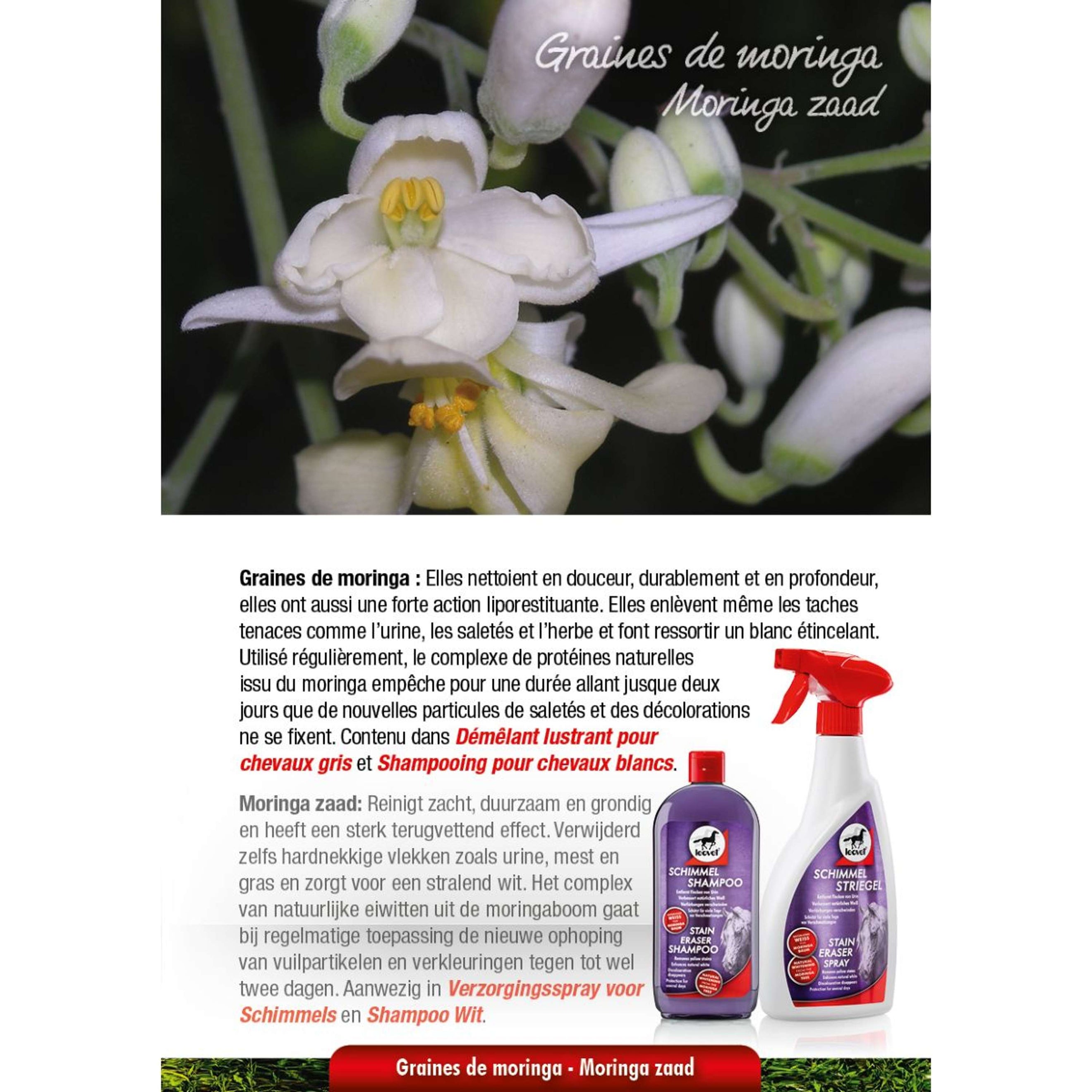 Leovet Spray Milton Leovet Spray Milton