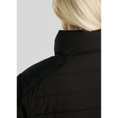 Montar Veste MoRuby Essential Padded Softshell Noir