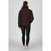 Pikeur Blouson Quilted Athleisure AW26 Marron chocolat