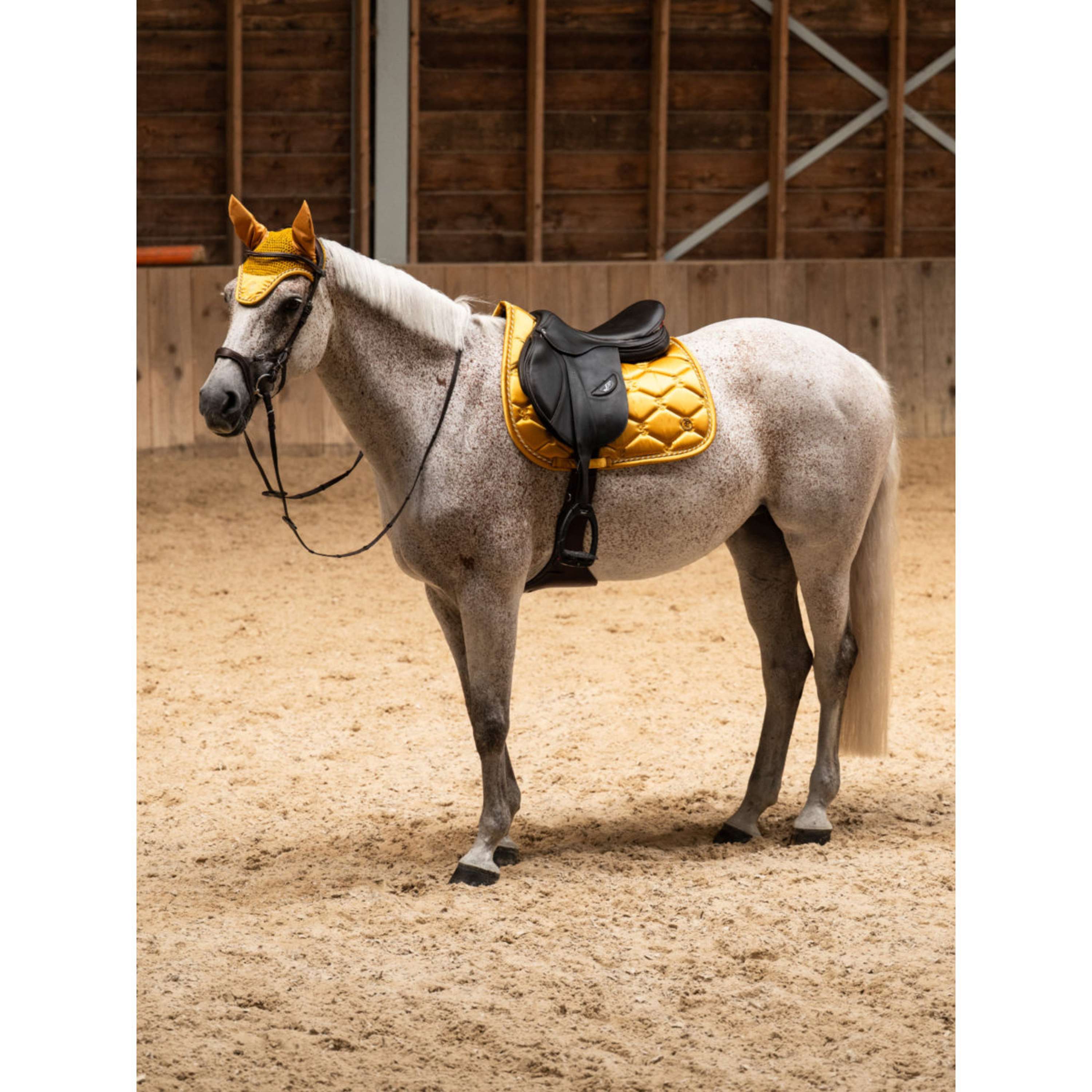 PS of Sweden Tapis de Selle Signature de Saut Old Gold