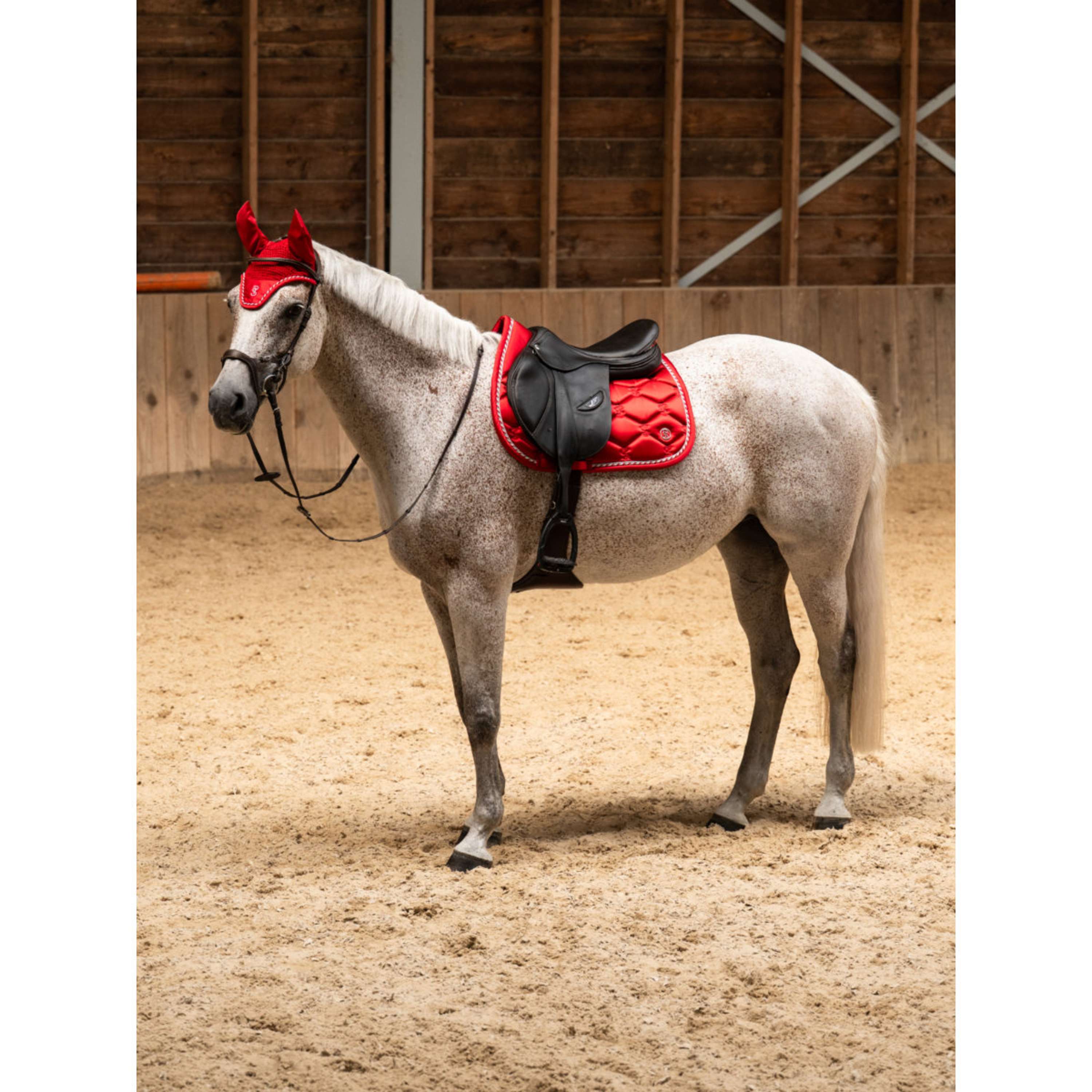 PS of Sweden Tapis de Selle Signature de Saut Cranberry Red