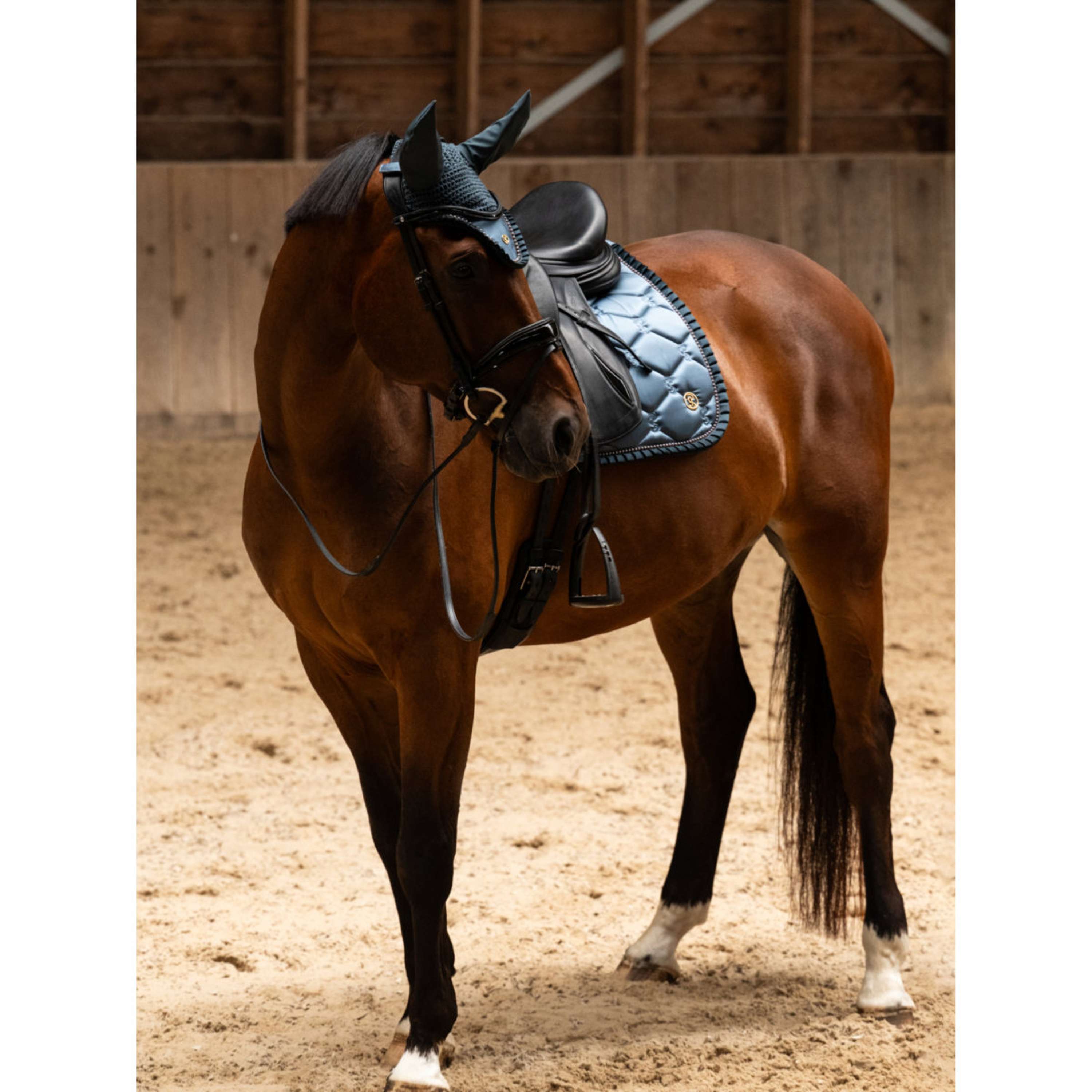 PS of Sweden Tapis de Selle Ruffle Pearl Dressage Shadow Blue