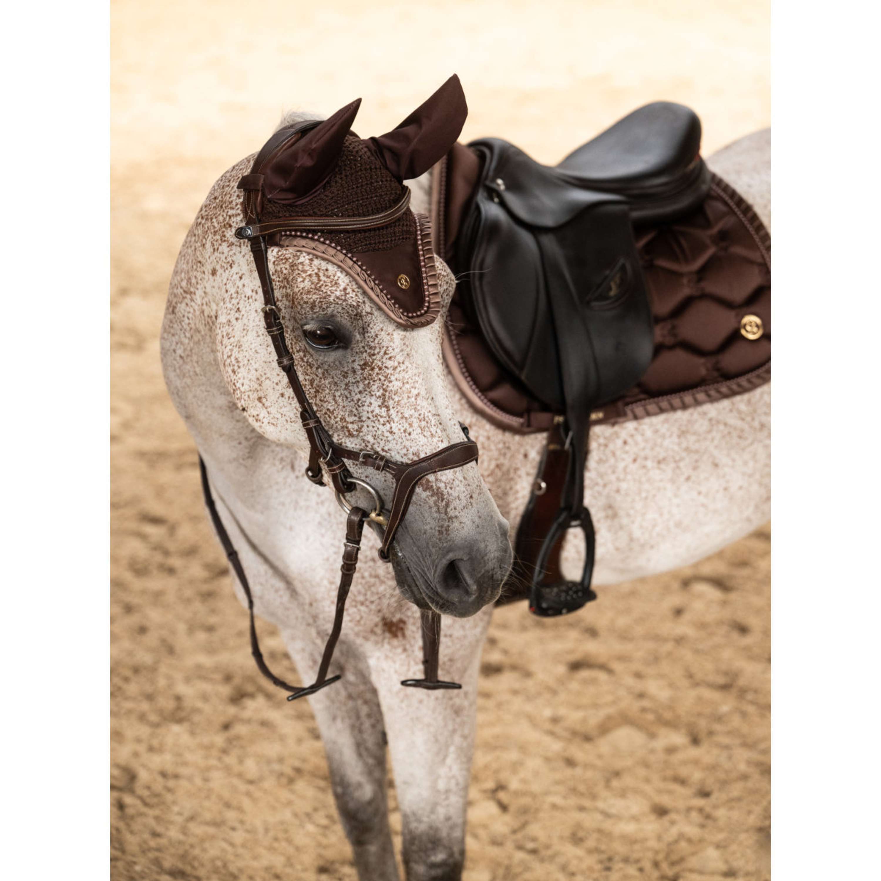 PS of Sweden Tapis de Selle Ruffle Pearl de Saut Marron Terre