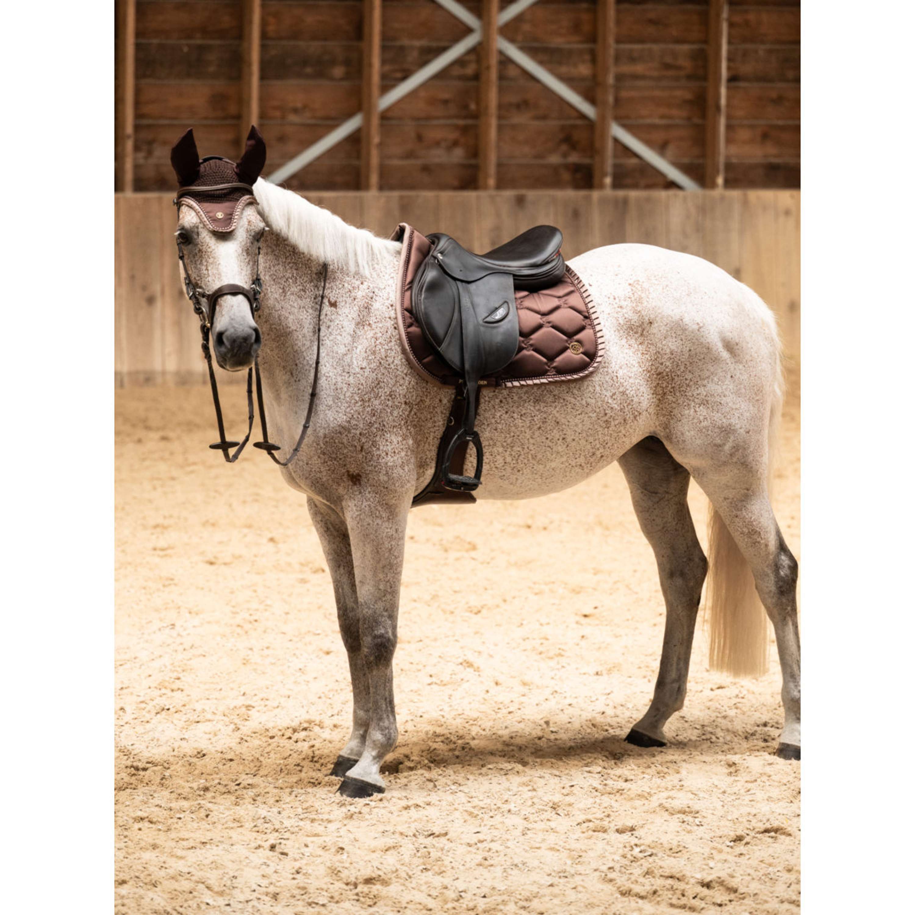 PS of Sweden Tapis de Selle Ruffle Pearl de Saut Marron Terre