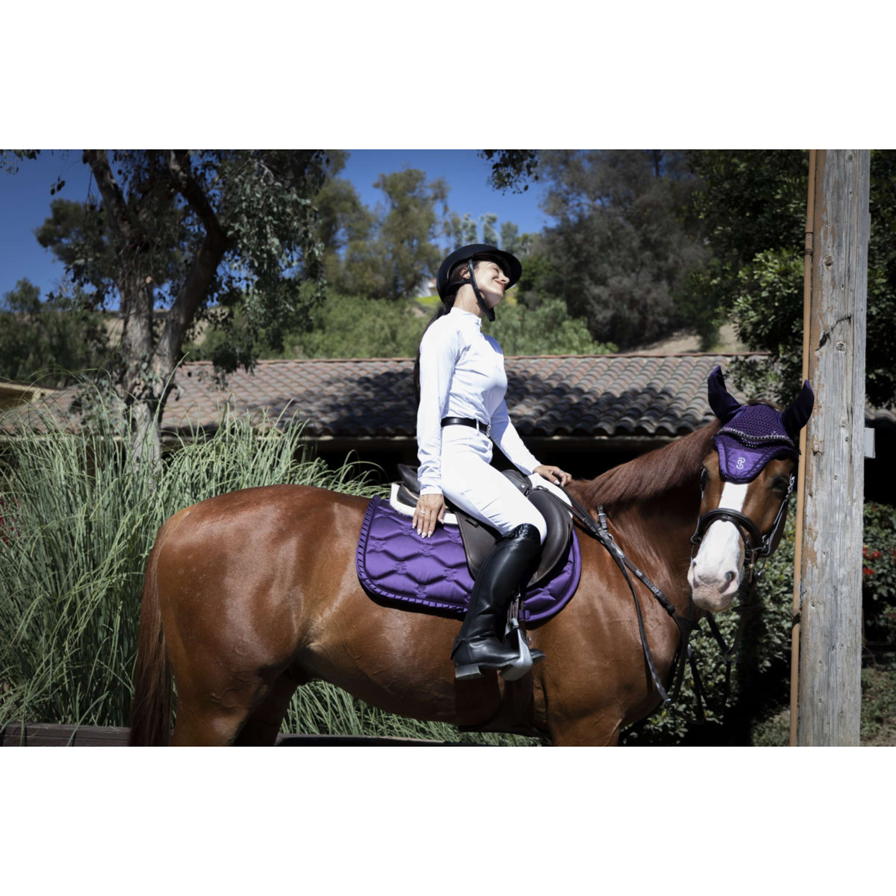 PS of Sweden Tapis de Selle Ruffle de Saut Eclipse Purple