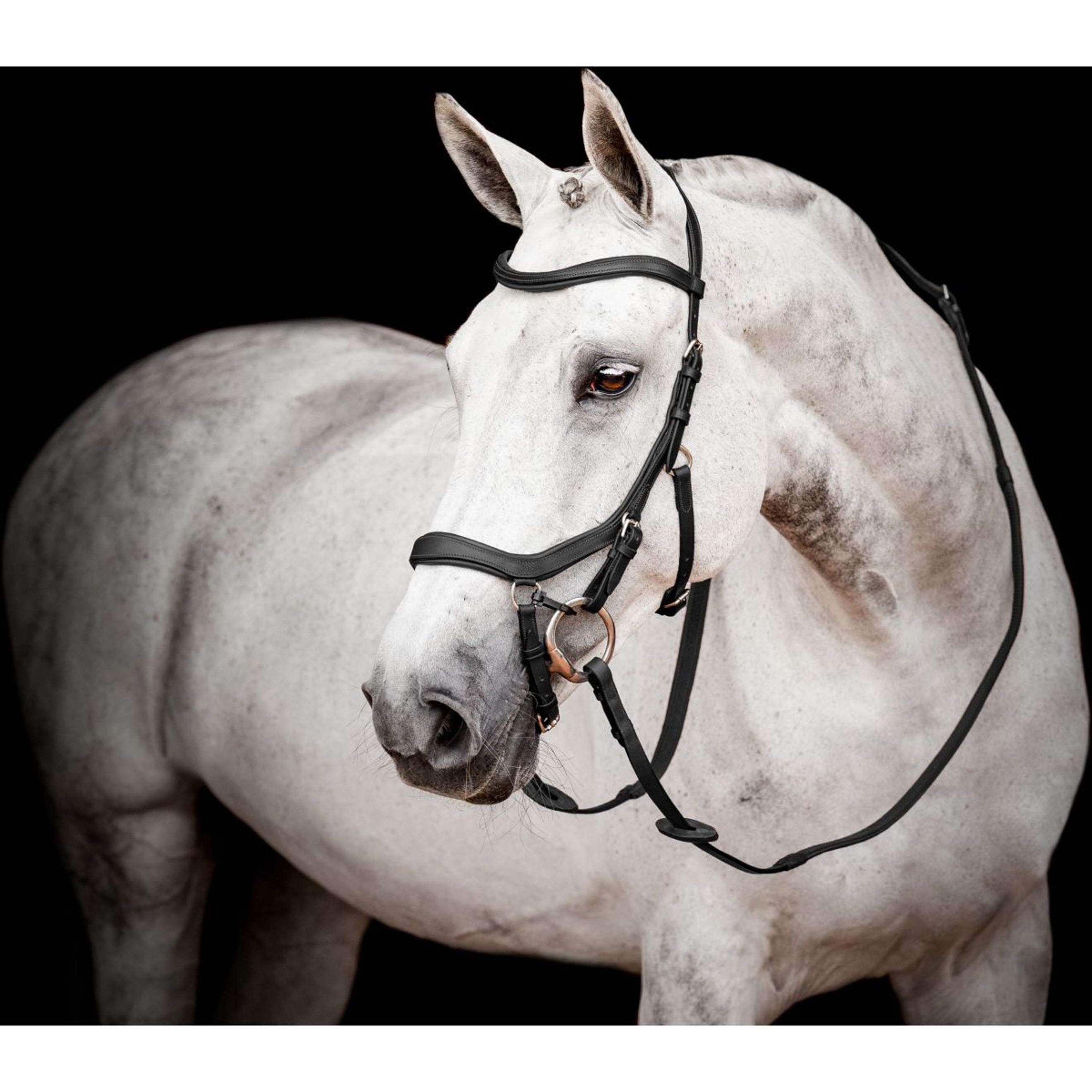 Horseware Micklem Competition Bridle Nouveau Noir