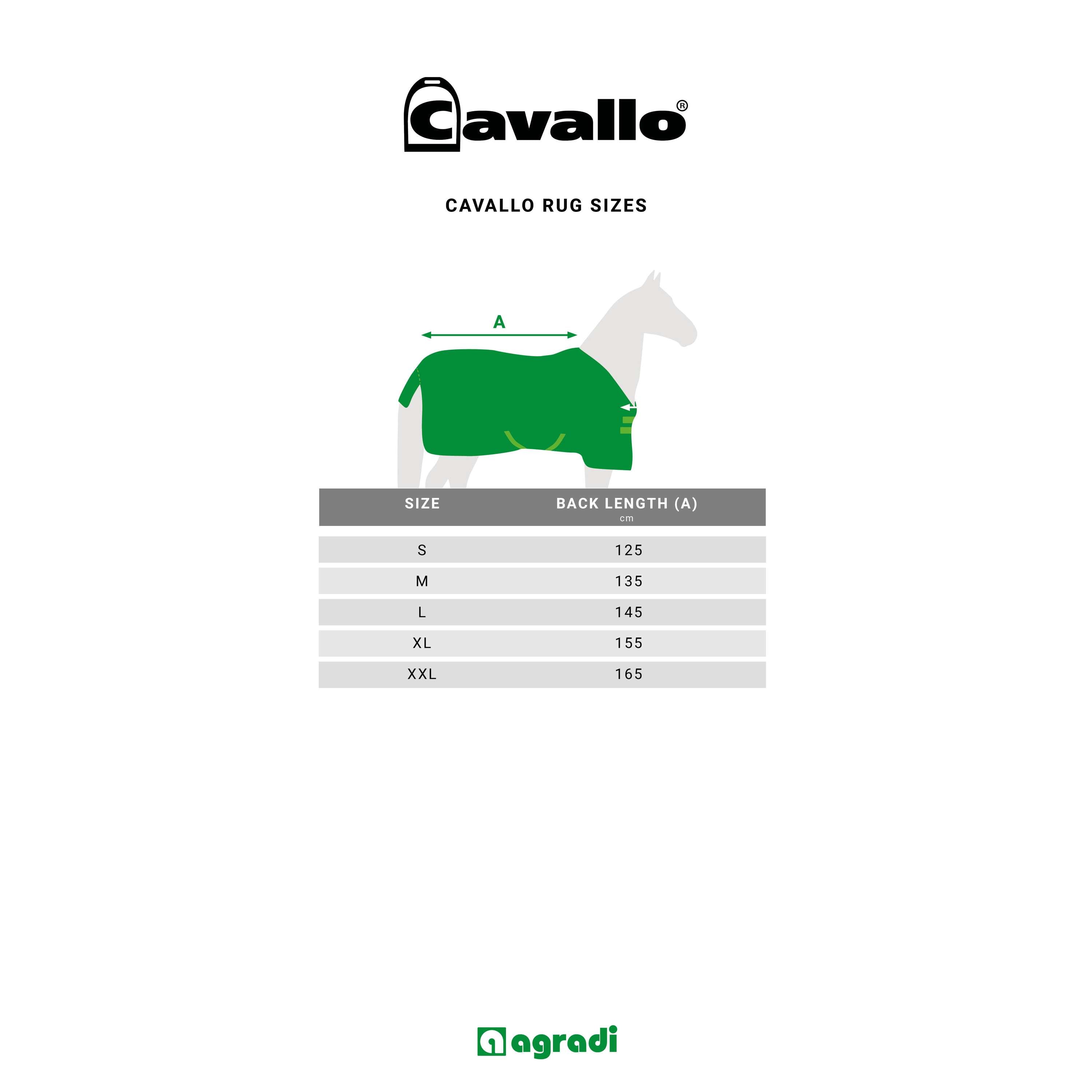 Cavallo Couverture Polaire CavalQuick Dry Cooler Soft Aqua