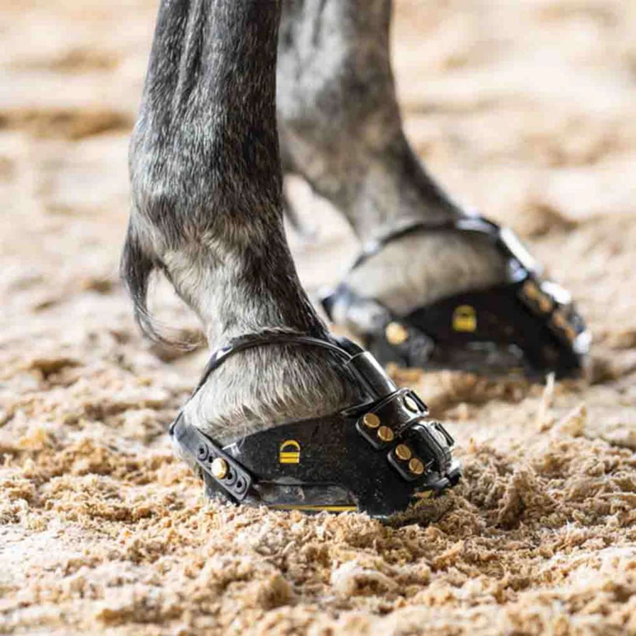 Scoot Boot Hipposandale TheraRide Noir Scoot Boot Hipposandale TheraRide Noir