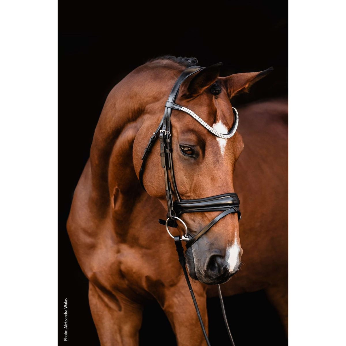 Schockemöhle Bridon SP Isabell Werth Johnny Noir/Argent