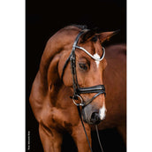 Schockemöhle Bridon SP Isabell Werth Johnny Noir/Argent