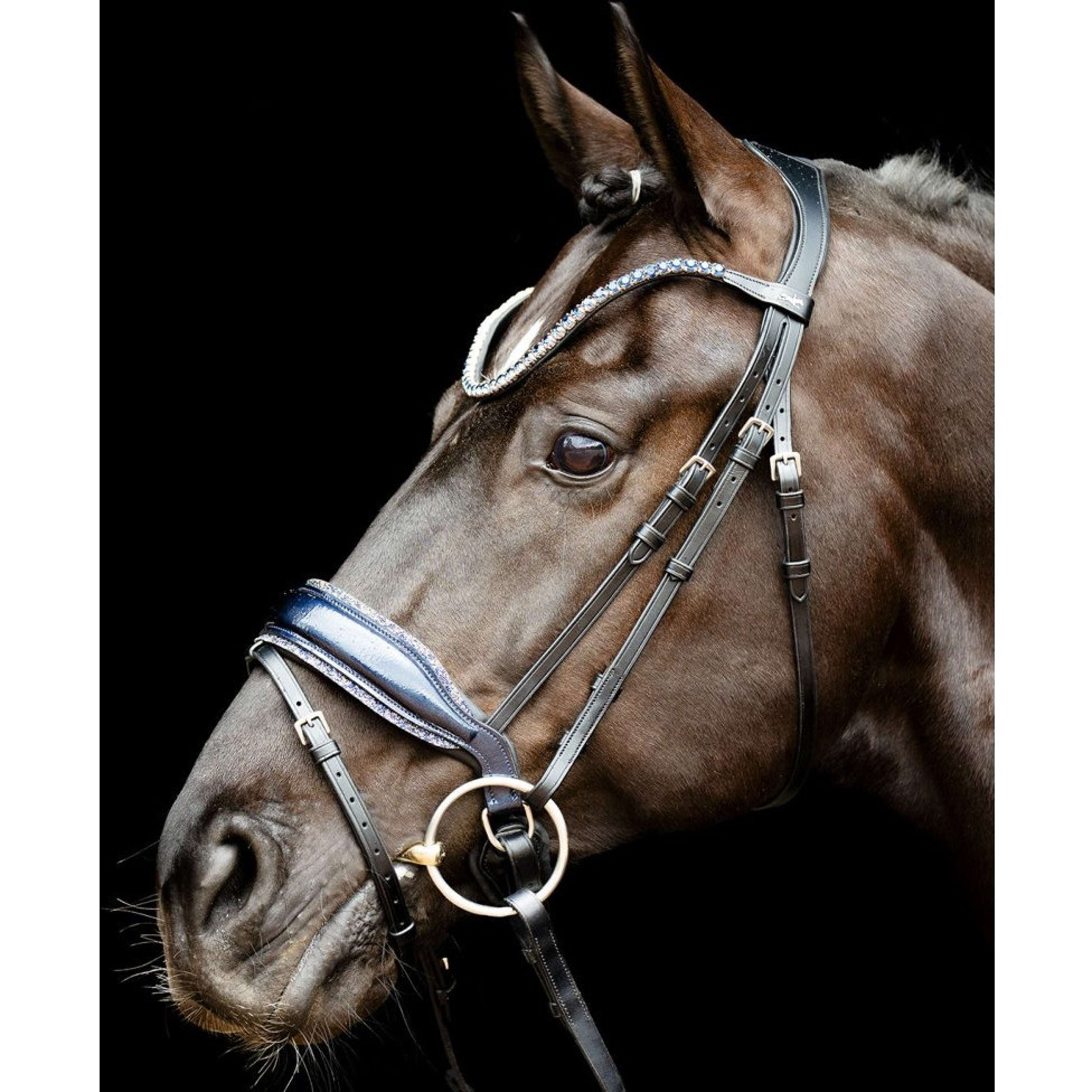 Schockemöhle Bride SPLuxury Dressage Noir/Argent/Bleu