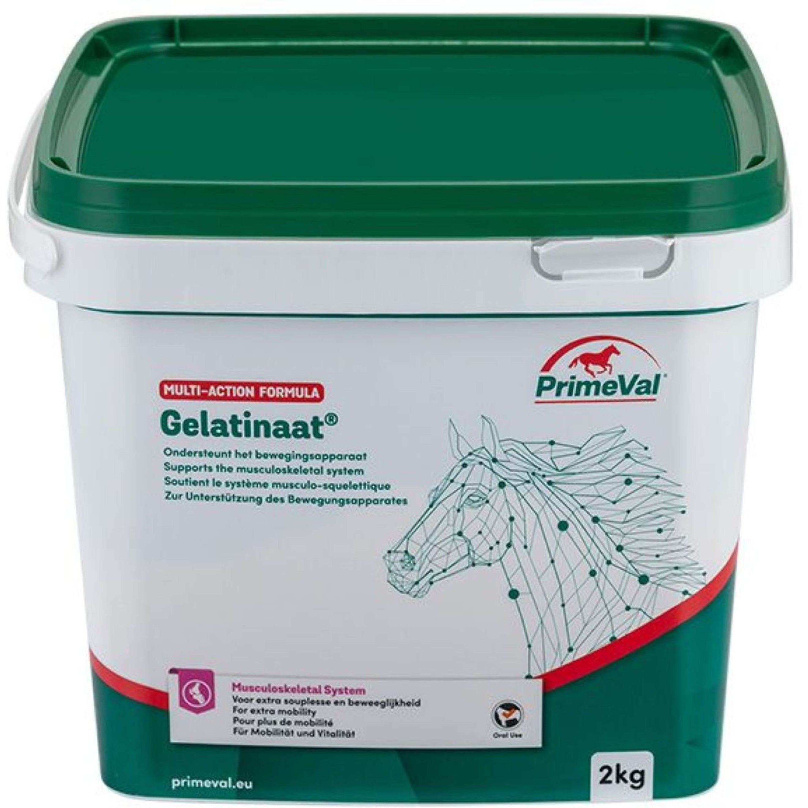 Primeval Gelatinate Cheval Primeval Gelatinate Cheval