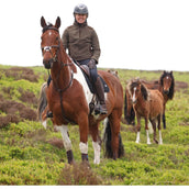 Aubrion by Shires Pull Heritage Fleece Olive foncé