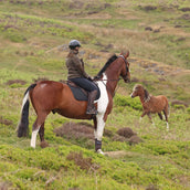 Aubrion by Shires Pull Heritage Fleece Olive foncé