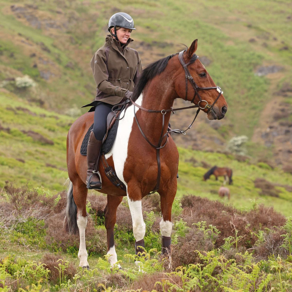 Aubrion by Shires Veste Heritage Olive foncé