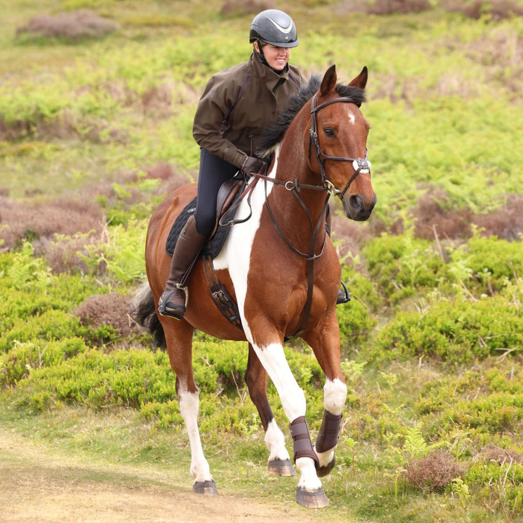Aubrion by Shires Pullover Heritage Olive foncé
