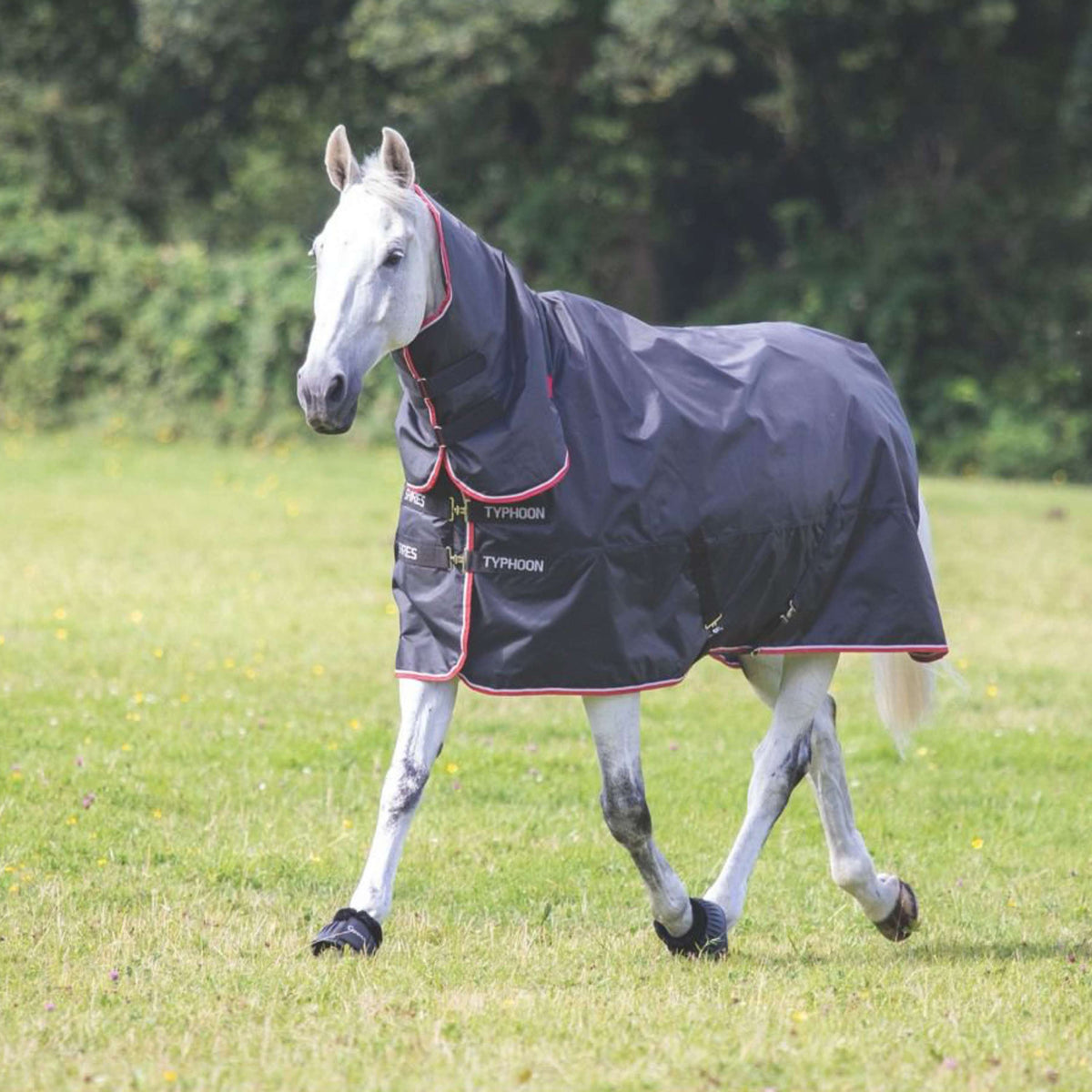 Tempest Original by Shires Couverture Imperméable Turnout Typhoon Combo 200g Noir
