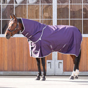 Shires Couverture d'Extérieur Original 100g Turnout avec Couvre-cou