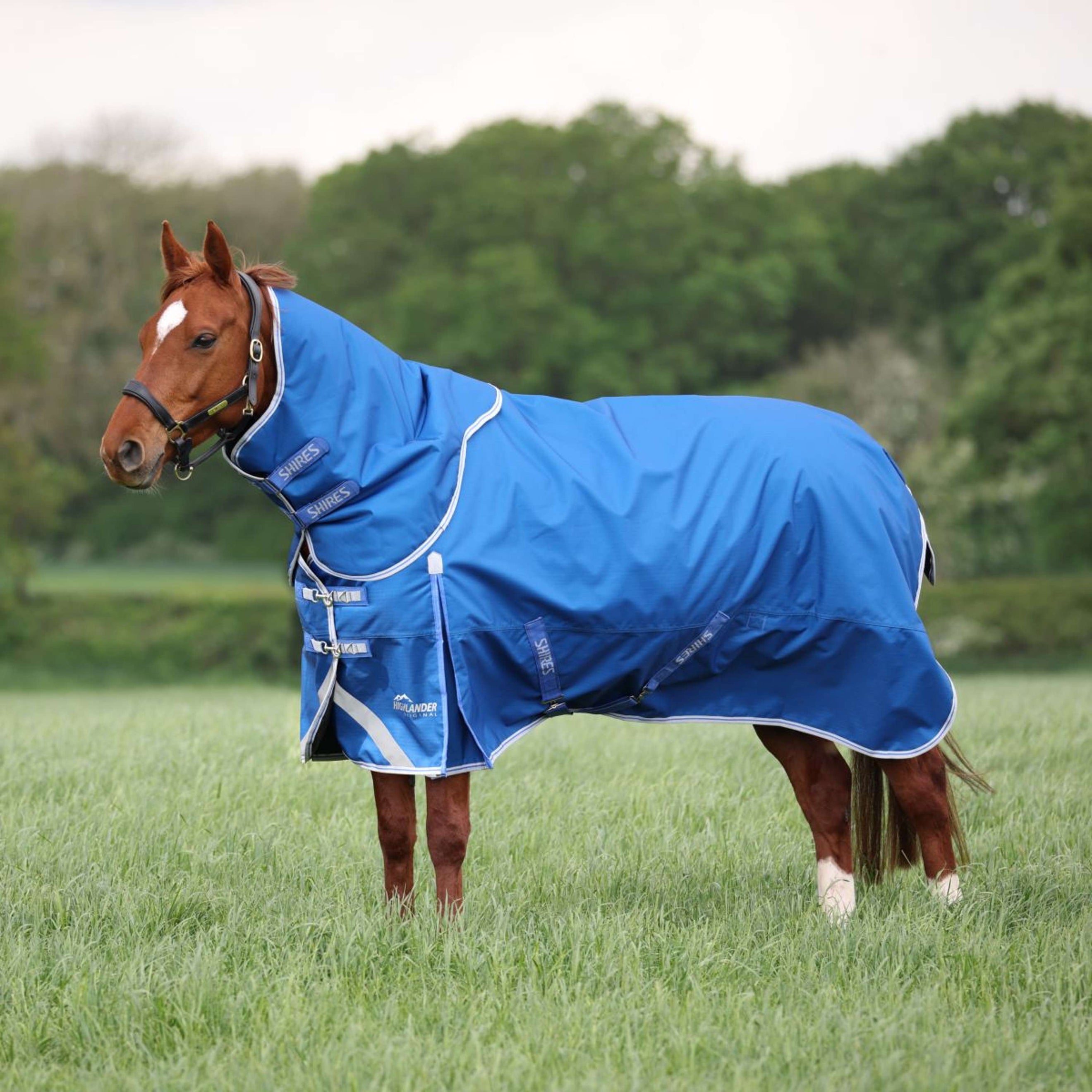 Highlander Original by Shires Couverture d'Hiver Turnout 200g avec Couvre-cou Bleu Highlander Original by Shires Couverture d'Hiver Turnout 200g avec Couvre-cou Bleu
