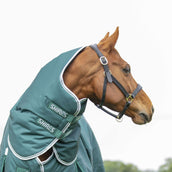 Highlander Original by Shires Couverture d'Hiver Turnout 300g avec Couvre-cou Vert