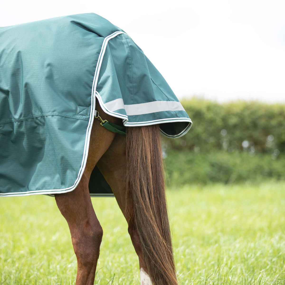 Highlander Original by Shires Couverture d'Hiver Turnout 300g avec Couvre-cou Vert