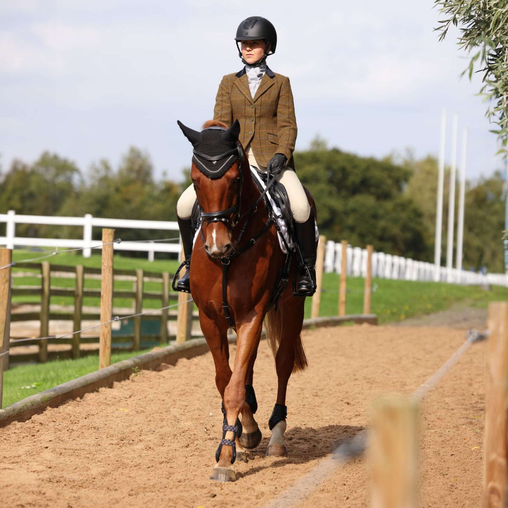 Aubrion by Shires Veste de Concours Saratoga Chêne Brun Check