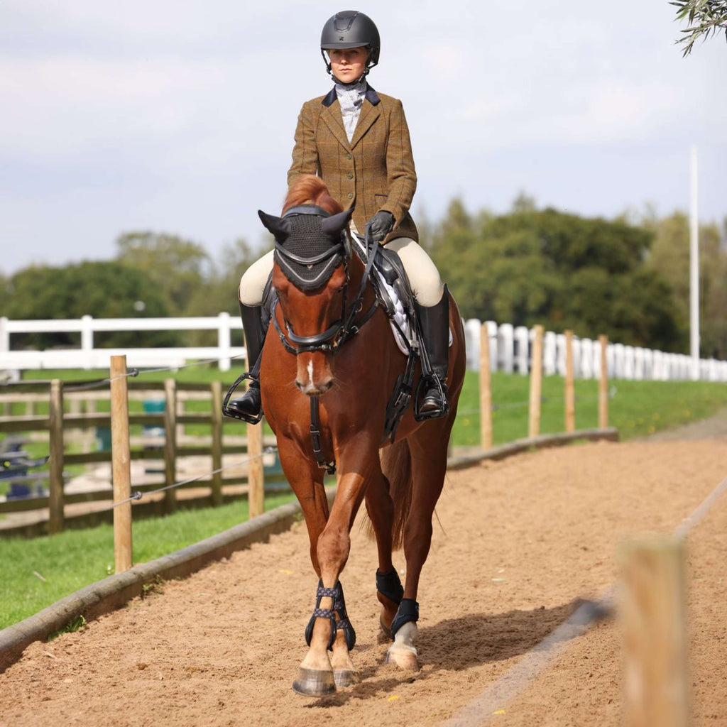 Aubrion by Shires Veste de Concours Saratoga Chêne Brun Check