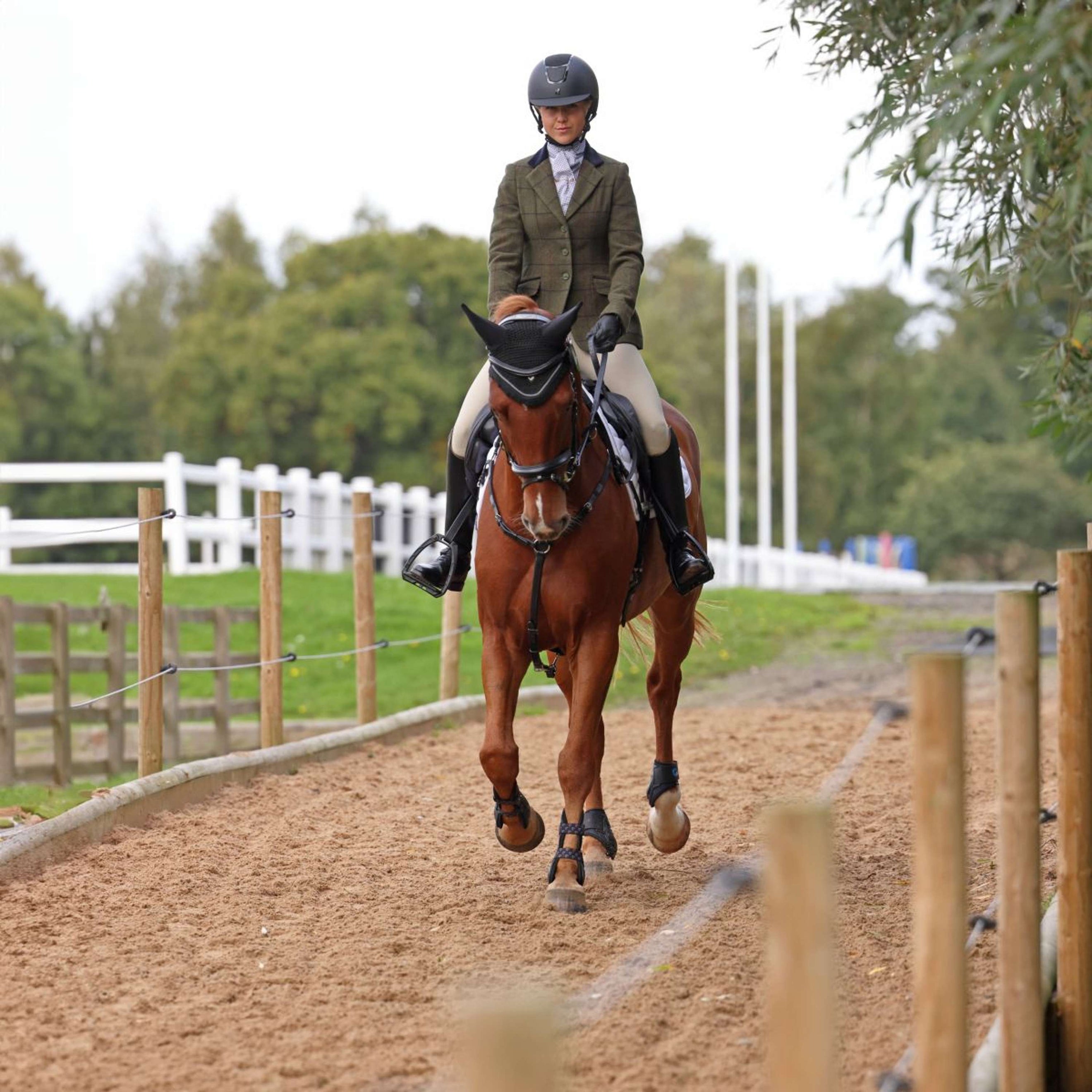 Aubrion by Shires Veste de Concours Saratoga Spruce Vert Check Aubrion by Shires Veste de Concours Saratoga Spruce Vert Check