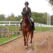 Aubrion by Shires Veste de Concours Saratoga Spruce Vert Check