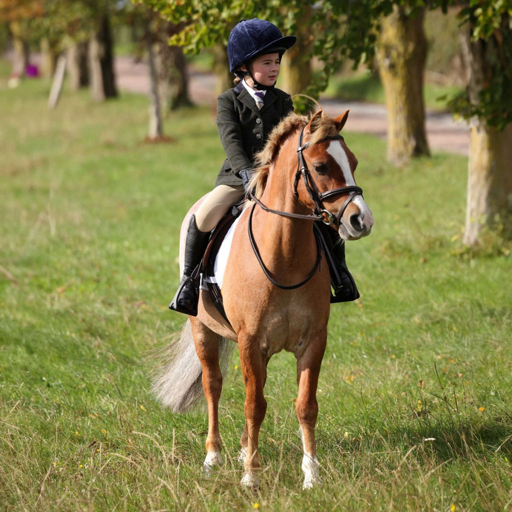 Aubrion by Shires Veste de Concours Saratoga Enfants Vert foncé Check