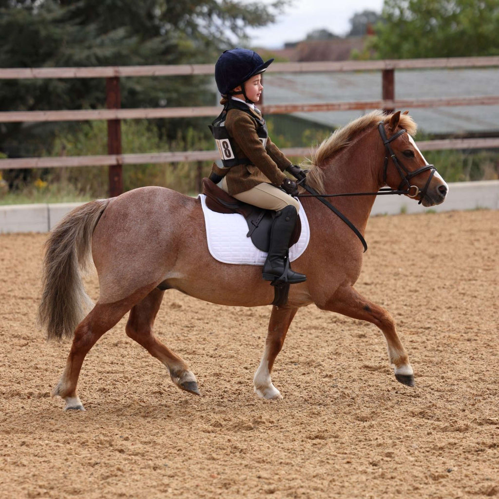 Aubrion by Shires Veste de Concours Saratoga Enfants Rouille Check