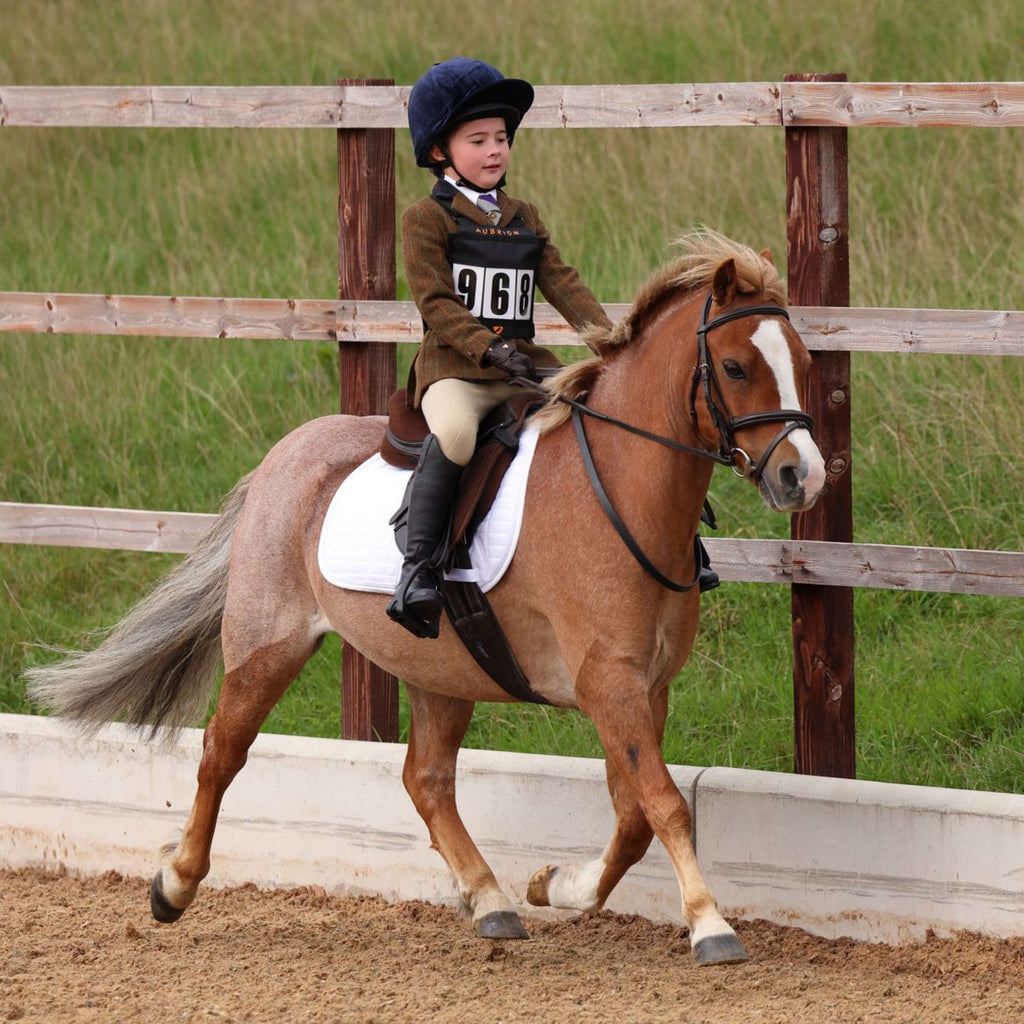 Aubrion by Shires Veste de Concours Saratoga Enfants Rouille Check
