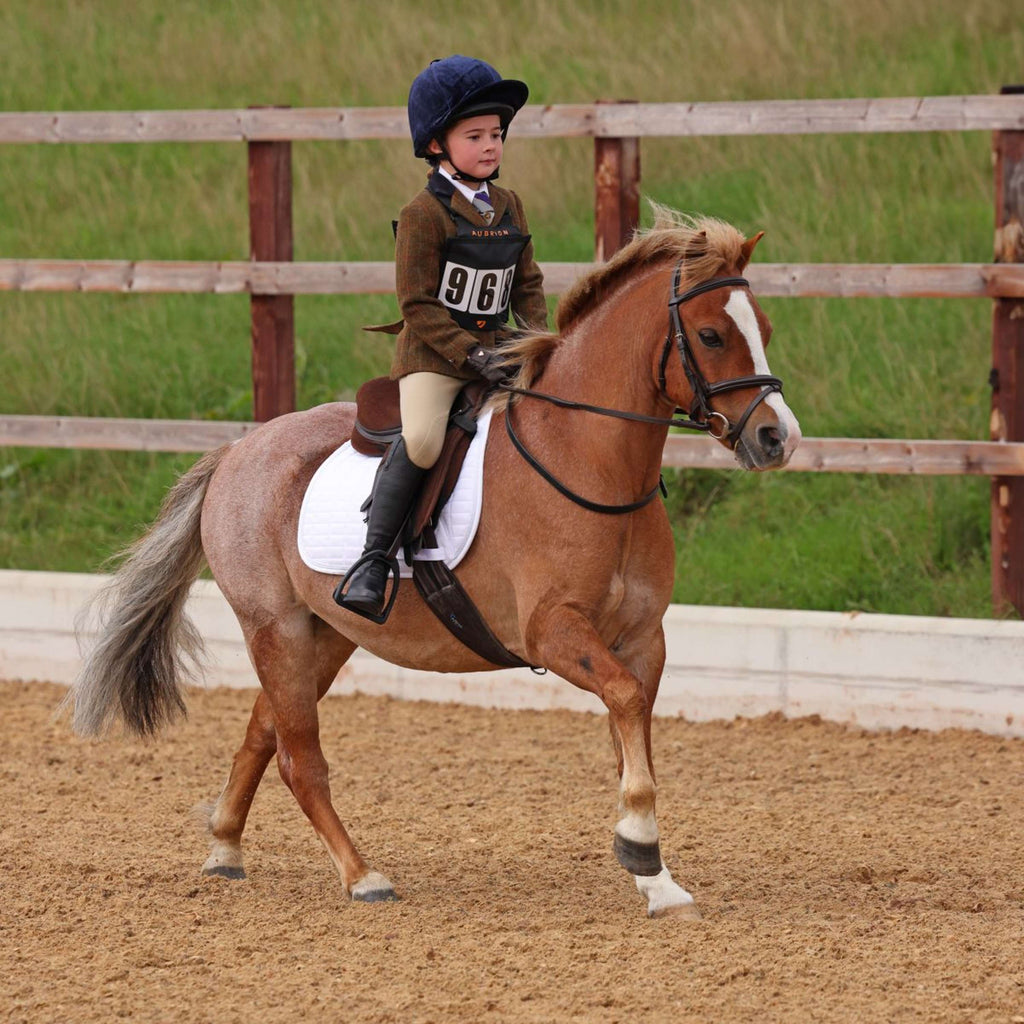 Aubrion by Shires Veste de Concours Saratoga Enfants Rouille Check