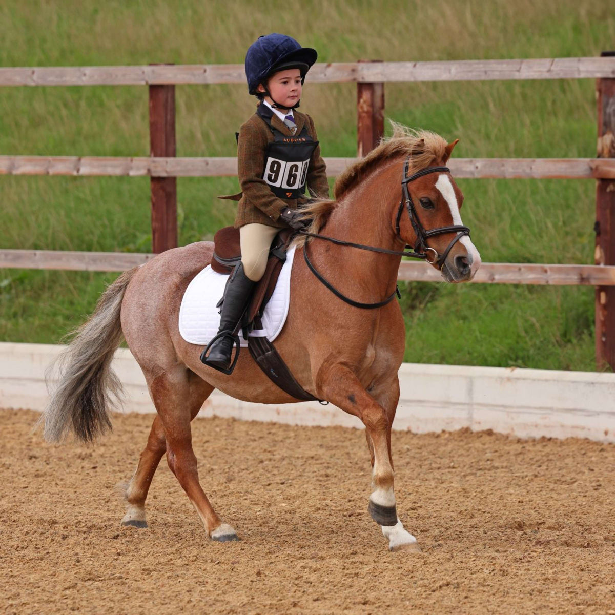Aubrion by Shires Veste de Concours Saratoga Enfants Rouille Check