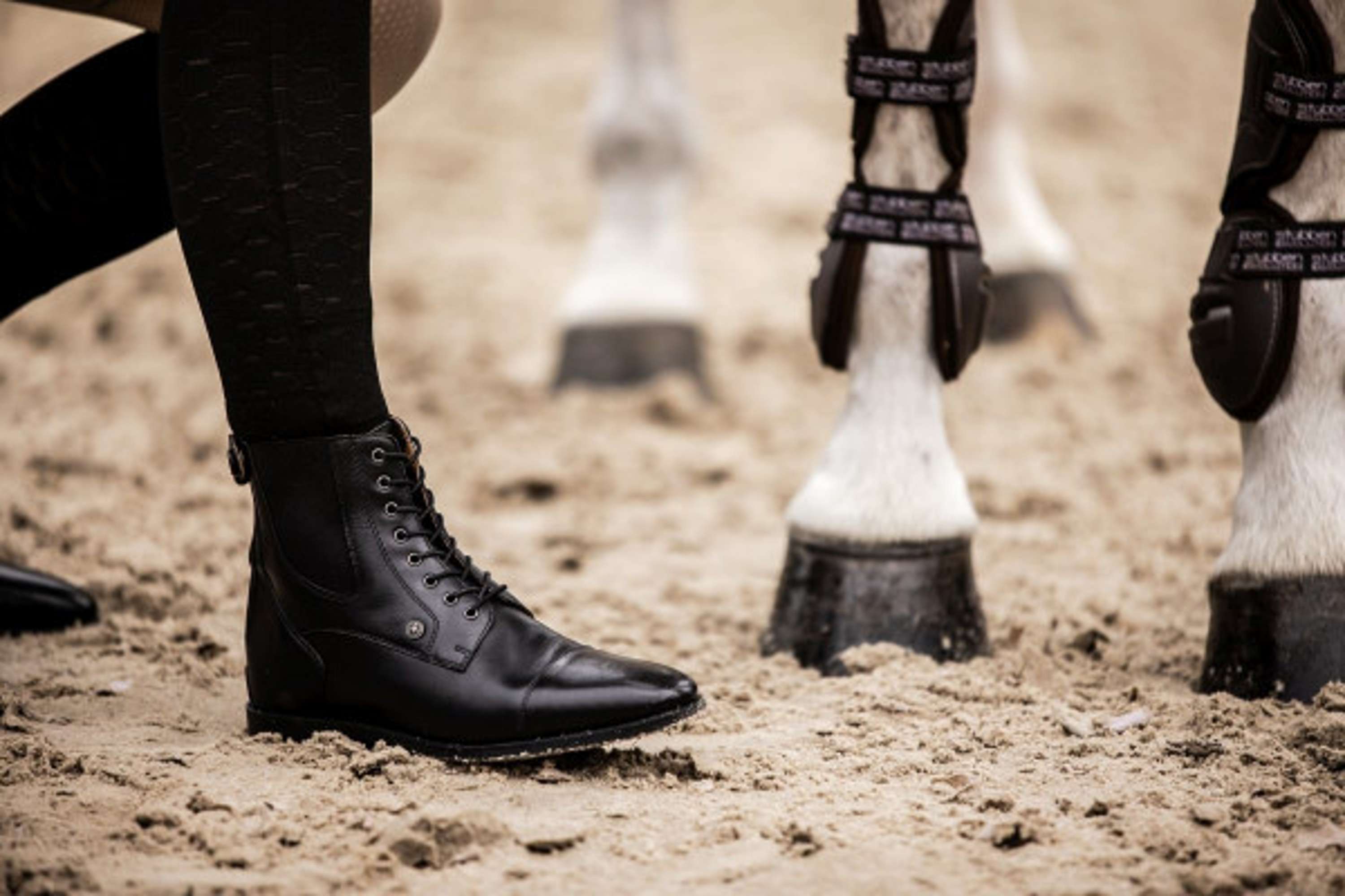 Suedwind Jodhpurs Florentina BZ avec Lacets Noir