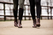 Suedwind Jodhpurs Florentina BZ avec Lacets Marron