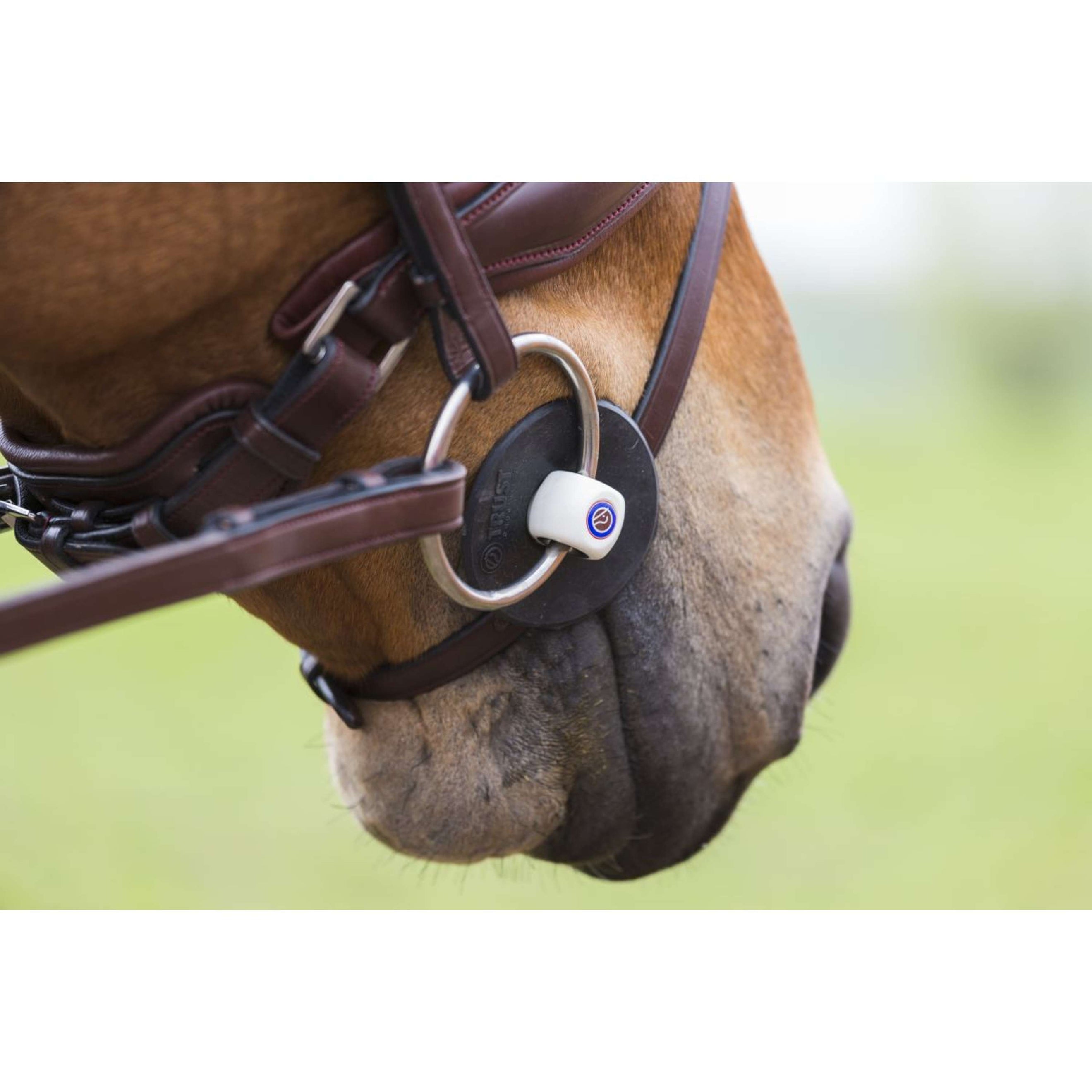 Trust Mors de Dressage Inno Sense Flexi Soft 15mm Trust Mors de Dressage Inno Sense Flexi Soft 15mm