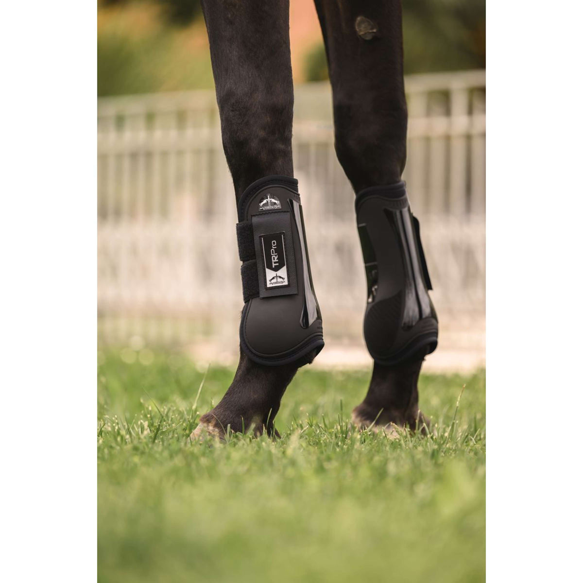 Veredus Protèges-Tendons TR PRO Front Noir