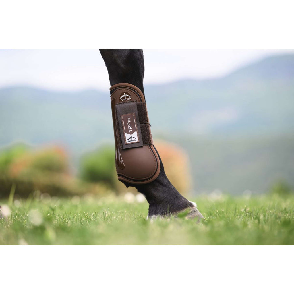 Veredus Protèges-Tendons TR PRO Front Marron