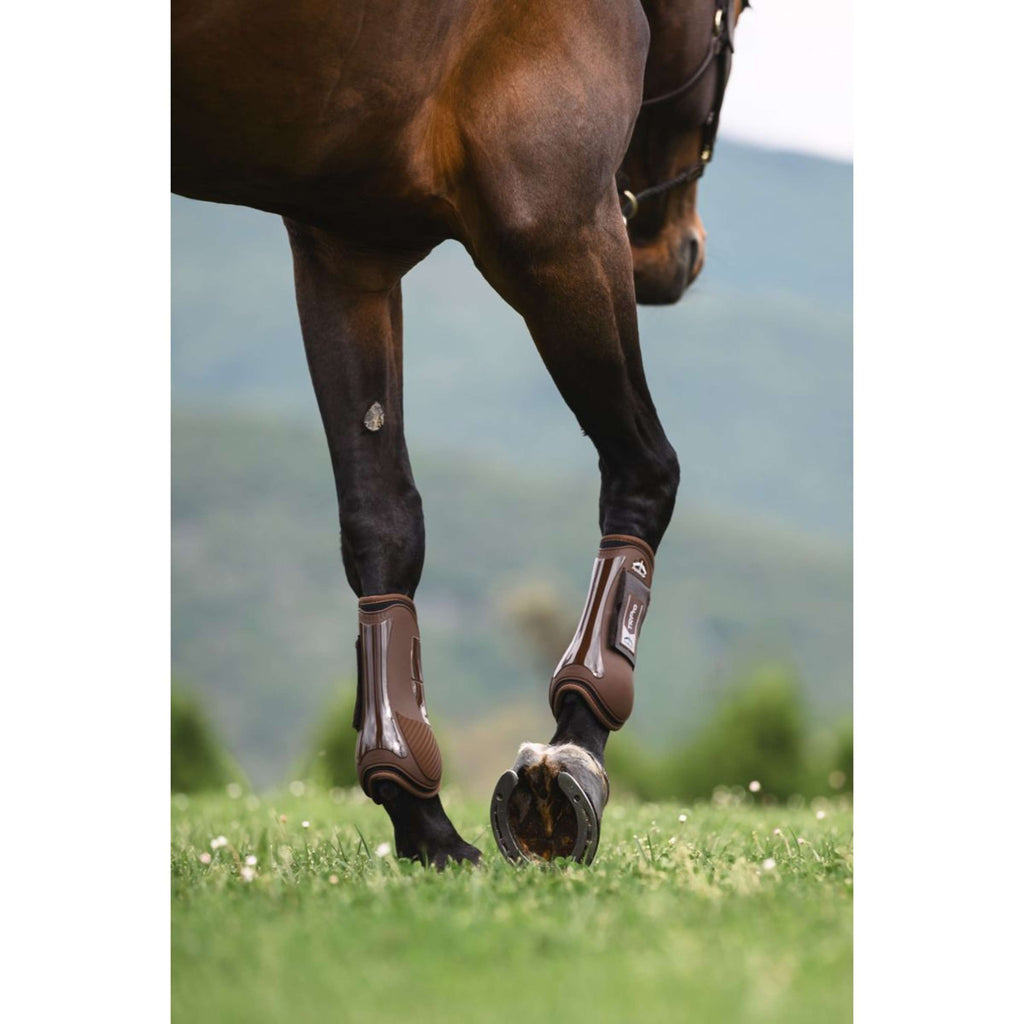 Veredus Protèges-Tendons TR PRO Front Marron
