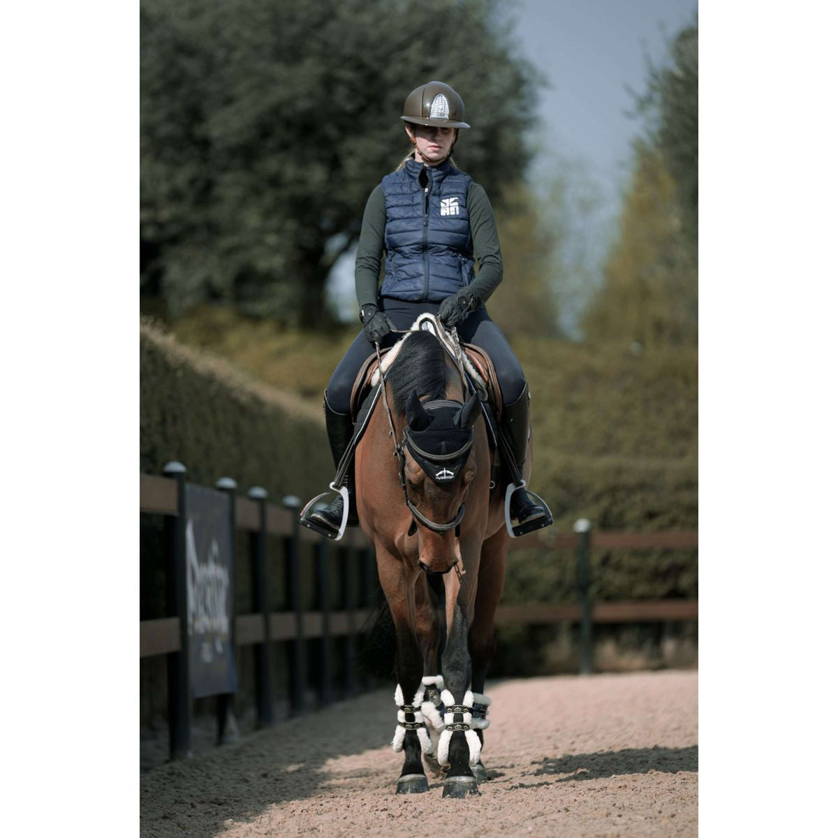 Veredus Protège-Boulets Carbon Gel Absolute Save the Sheep Rear Noir