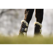 Veredus Protèges-Tendons Carbon Gel Absolute Save the Sheep Front Marron