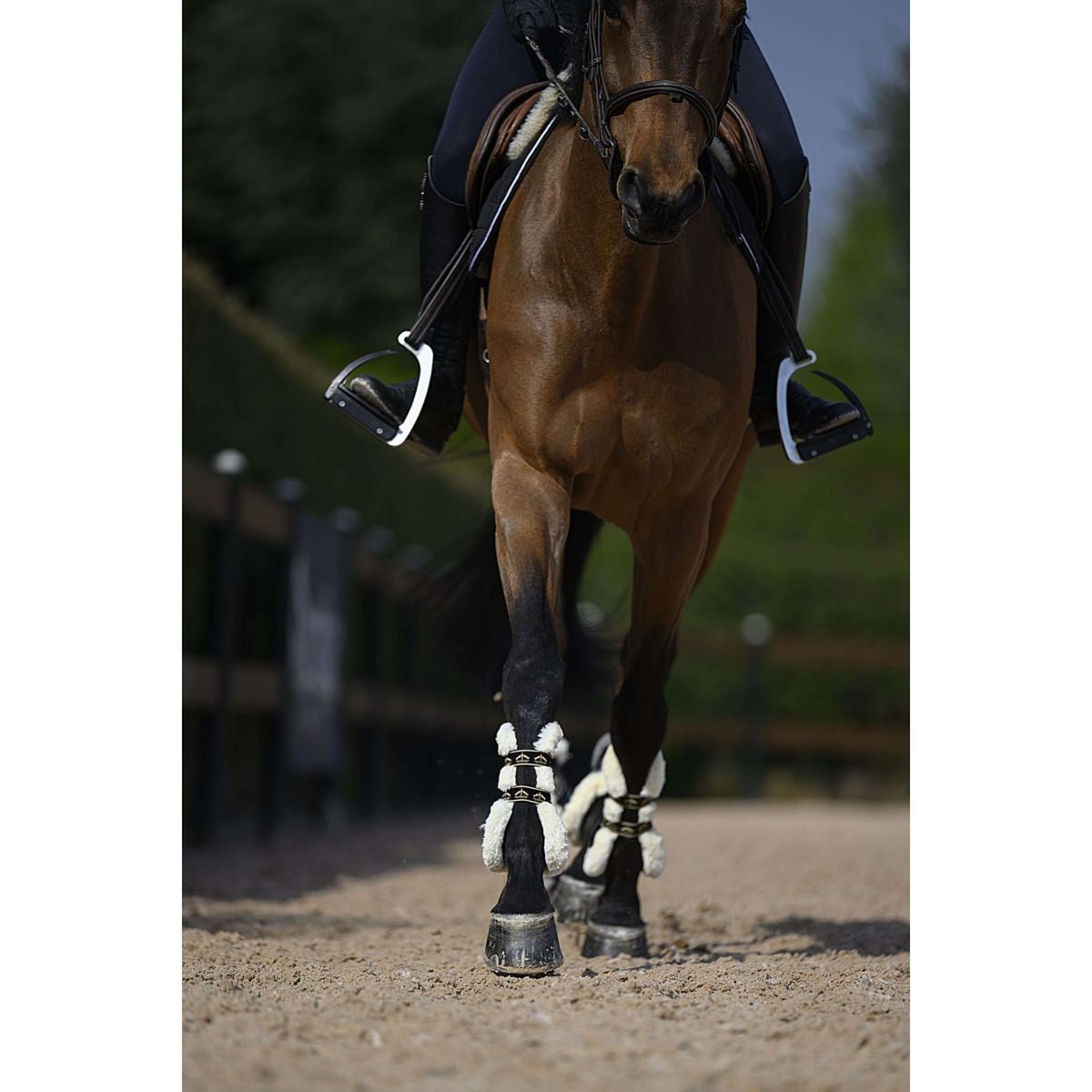 Veredus Protège-Boulets Carbon Gel Absolute Save the Sheep Rear Noir