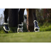 Veredus Protège-Boulets Carbon Gel Absolute Save the Sheep Rear Noir